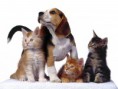 /album/%ce%b6%cf%89%ce%b1%ce%ba%ce%b9%ce%b1/a75456-family-portrait-jpg/